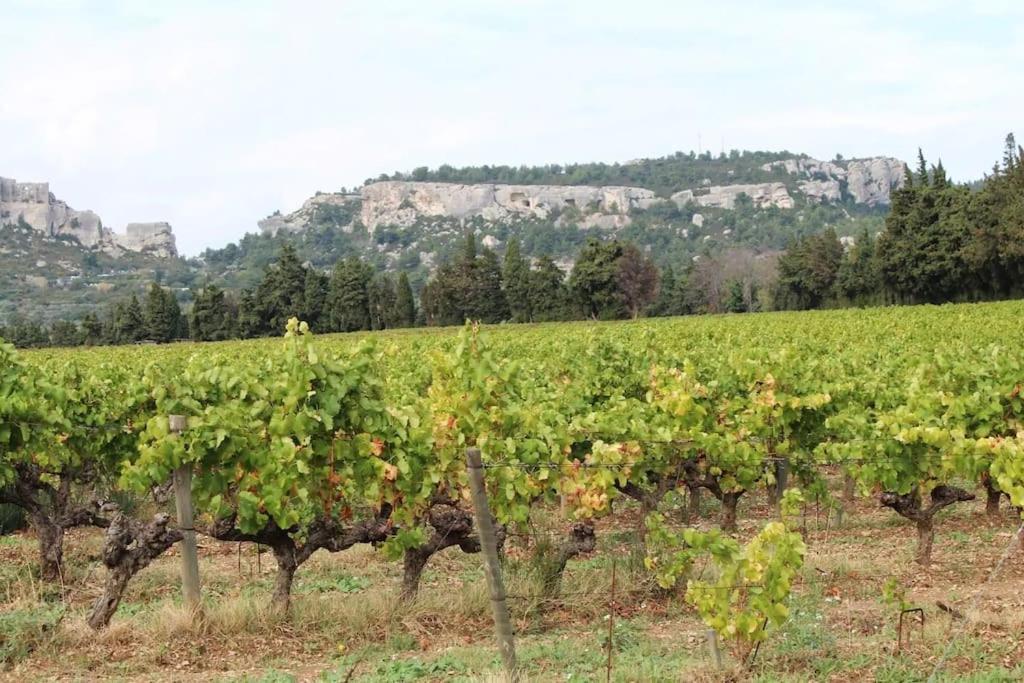 La Petite Maison De *** Holiday home Maussane-les-Alpilles