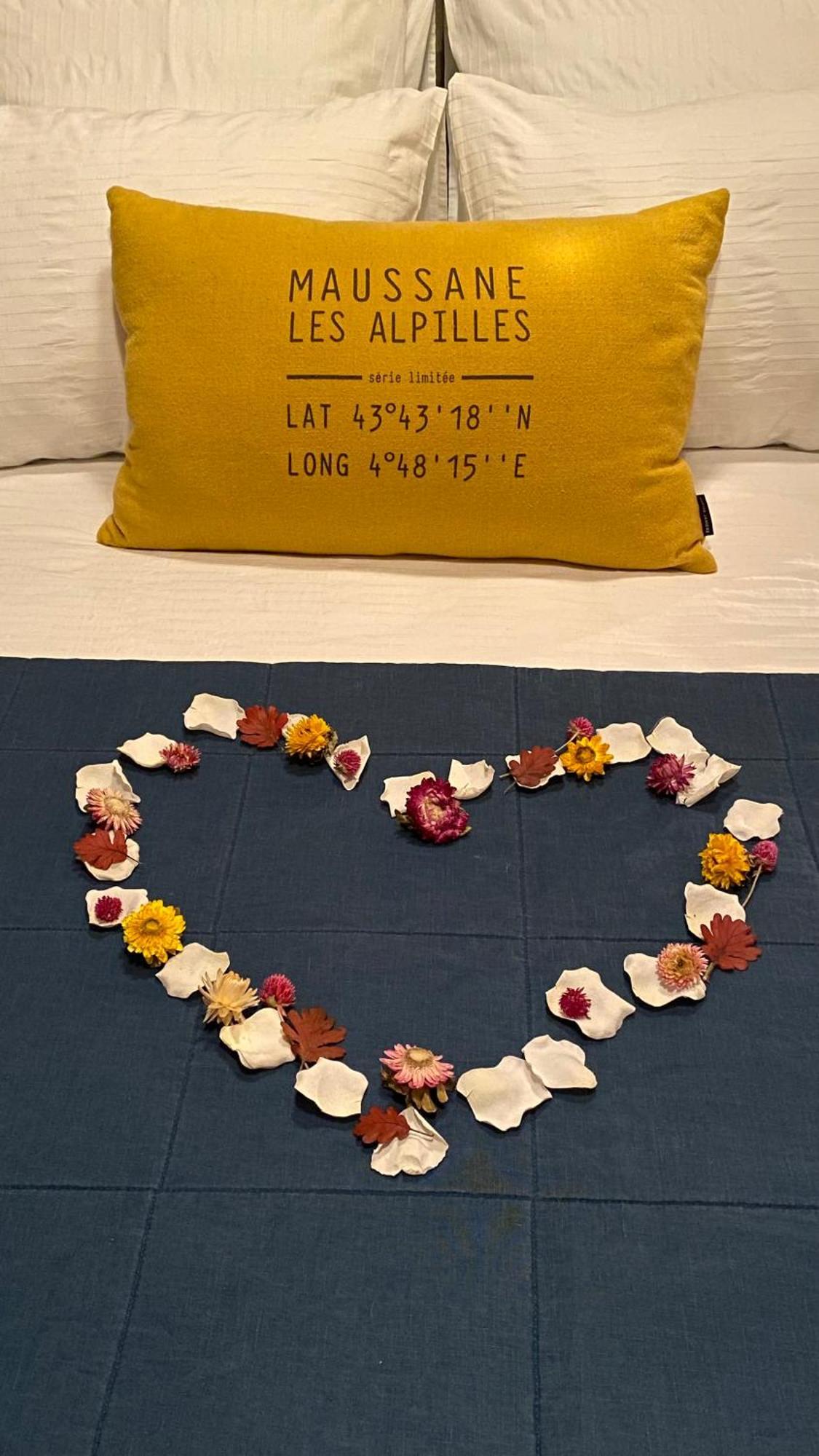 Holiday home La Petite Maison De *** Maussane-les-Alpilles